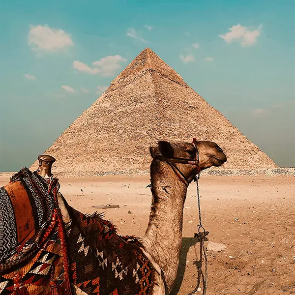 مصر