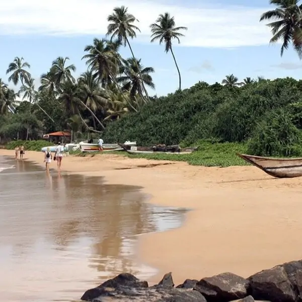 برنامج سياحي إلى سريلانكا لمدة 8 أيام