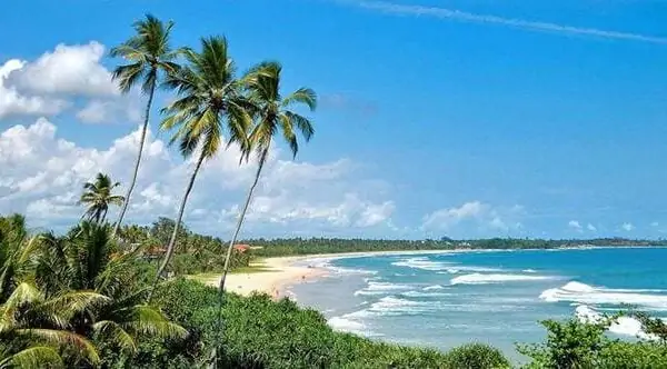 عرض سياحي 9 أيام في سريلانكا